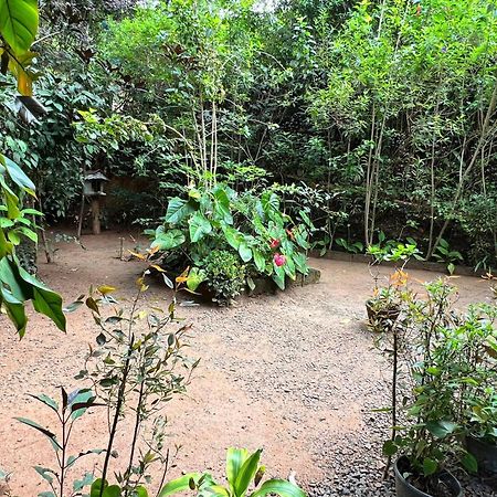 Ella Secret Paradise Extérieur photo